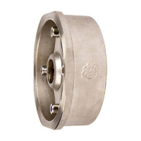 Клапан обратный дисковый RUSHWORK - Ду40 (ф/ф, PN40, Tmax 300°C, сталь)