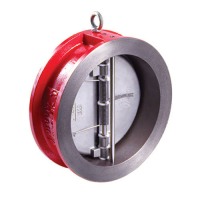 Клапан обратный межфланцевый RUSHWORK - Ду250 (ф/ф, PN16, Tmax 110°C, затворки чугун)